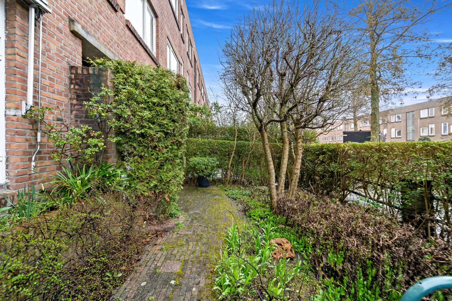 Photo 10 of Koningin Wilhelminalaan 291