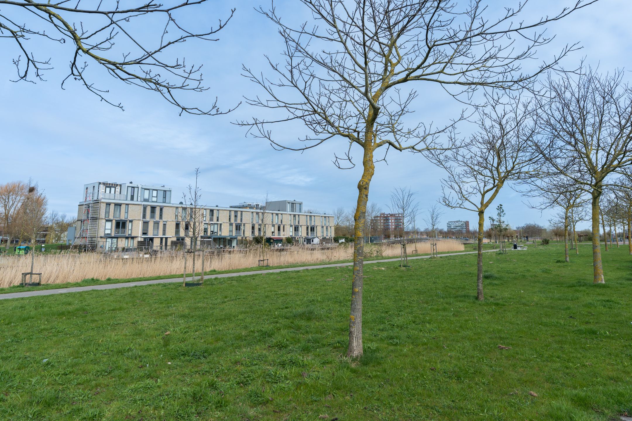 Foto 27 van Biesheuvelstraat 177