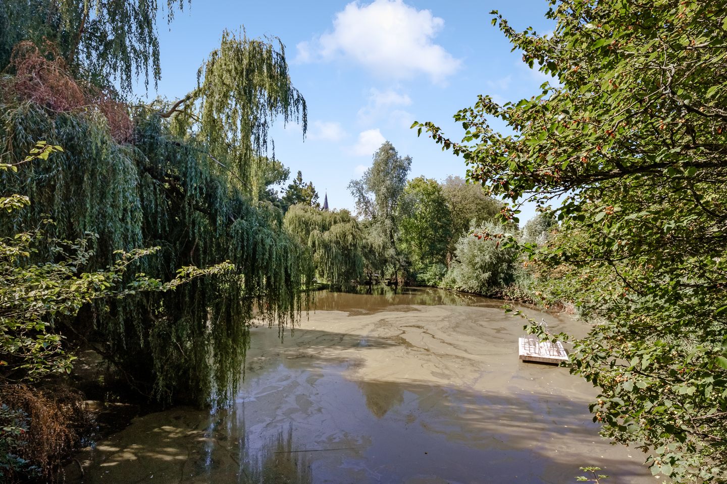 Foto 34 van Tweede Jan Steenstraat 31-2