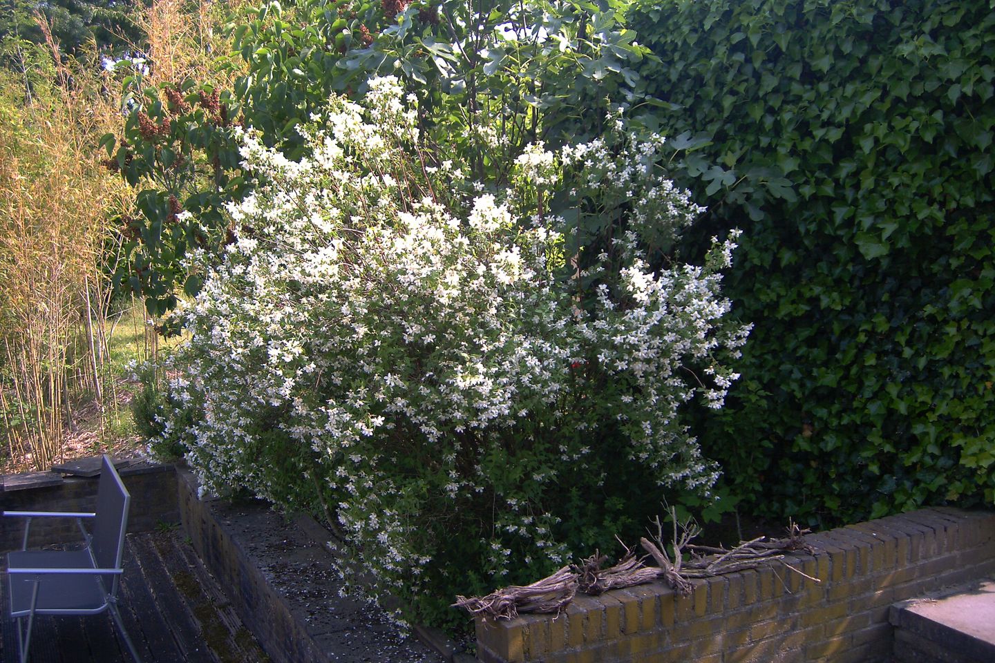 Foto 40 van Gouderaklaan 22