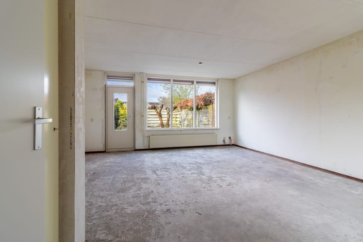 Foto 2 van Lisdodde 7