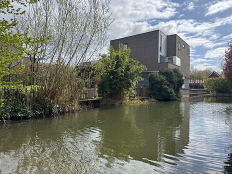 Gouderaklaan thumbnail