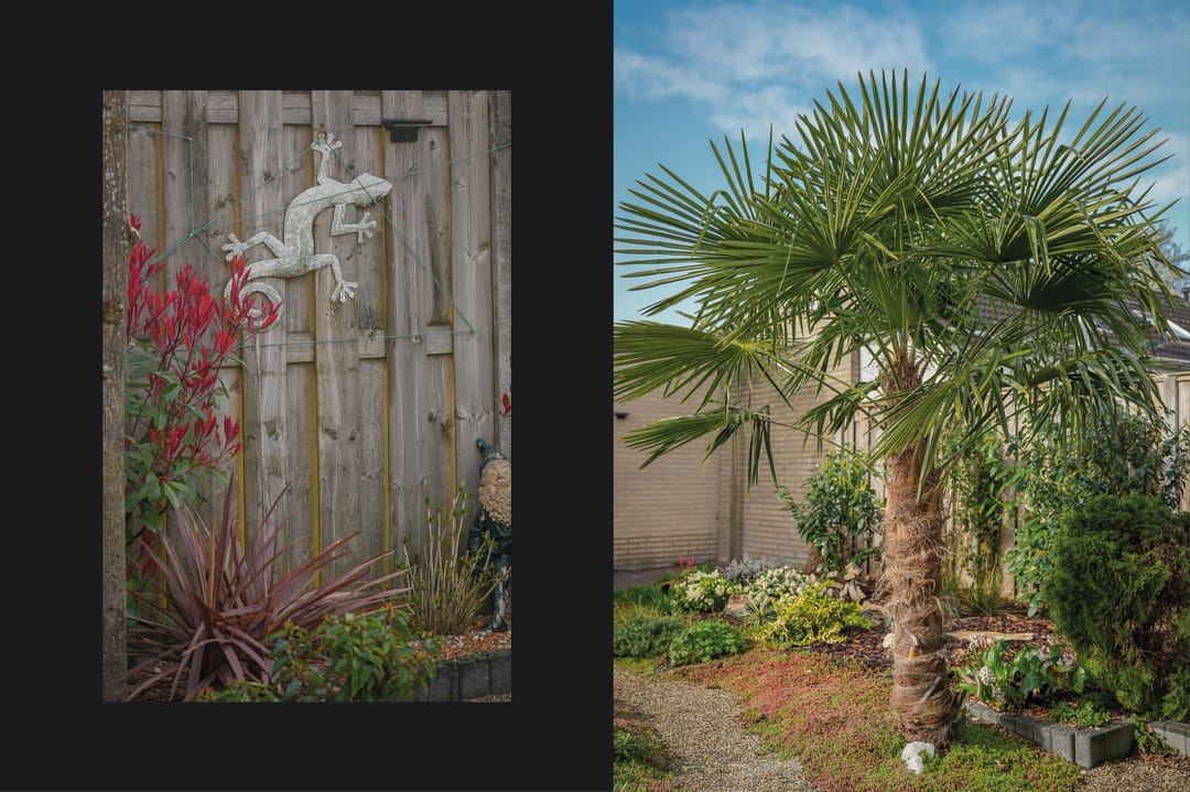 Photo 26 of De Zandkuil 5