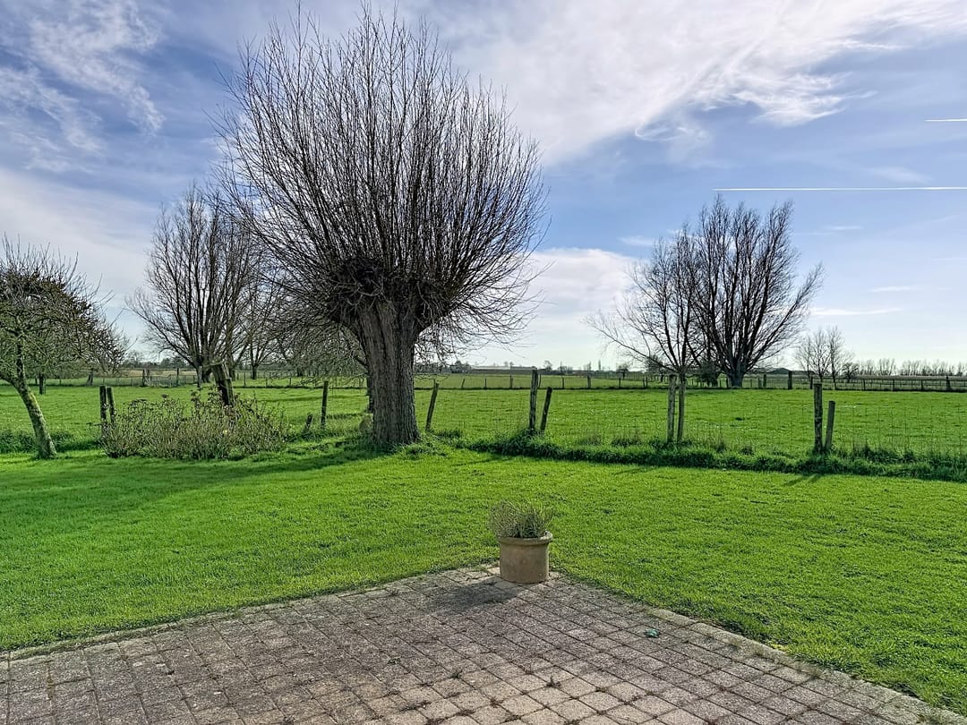 Foto 37 van Isabellapolder 1