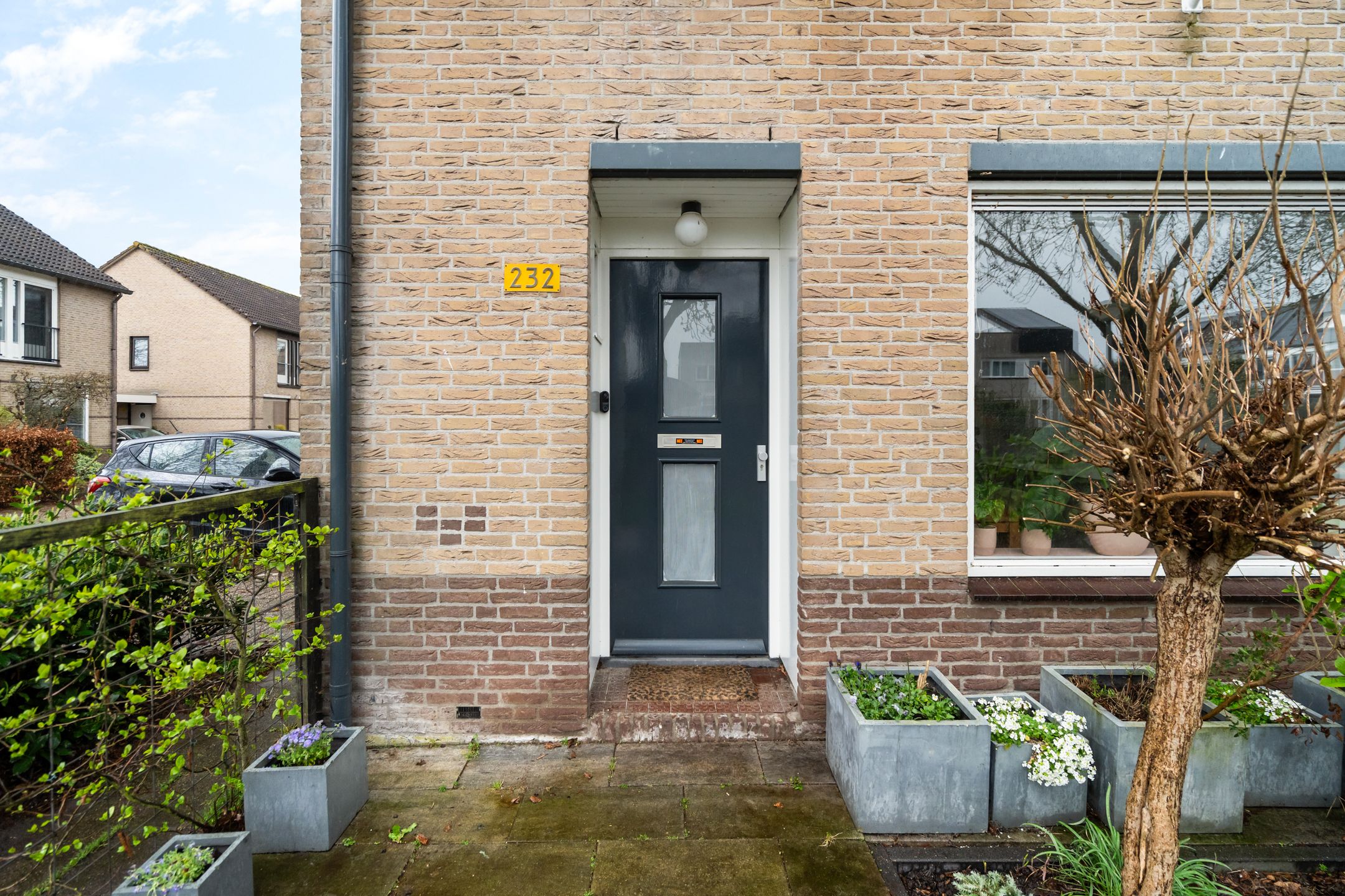 Foto 51 van Frida Katz-erf 232