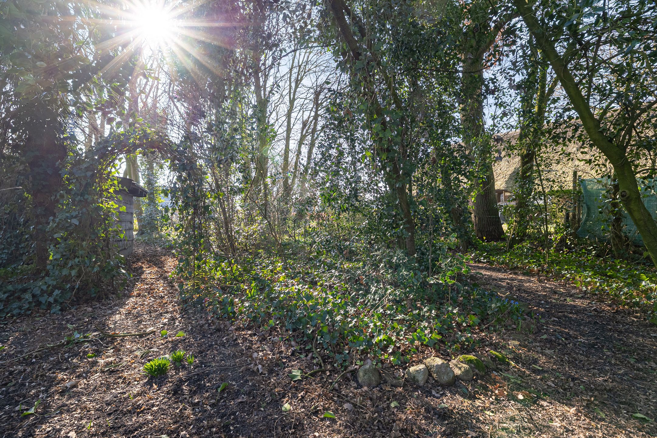 Photo 51 of Verl Hoogeveense Vaart 38