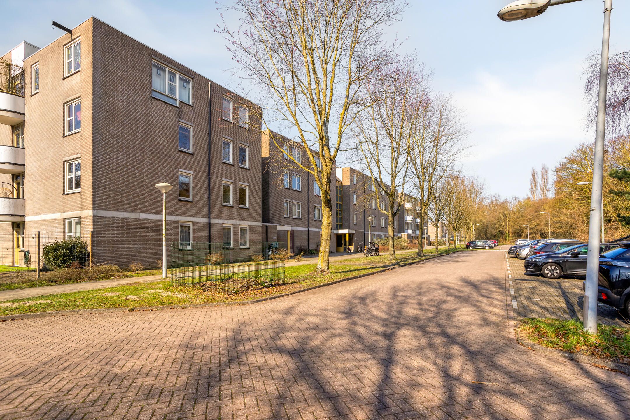 Photo 39 of Wamelplein 194