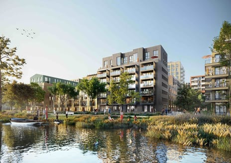 De Landmeter thumbnail