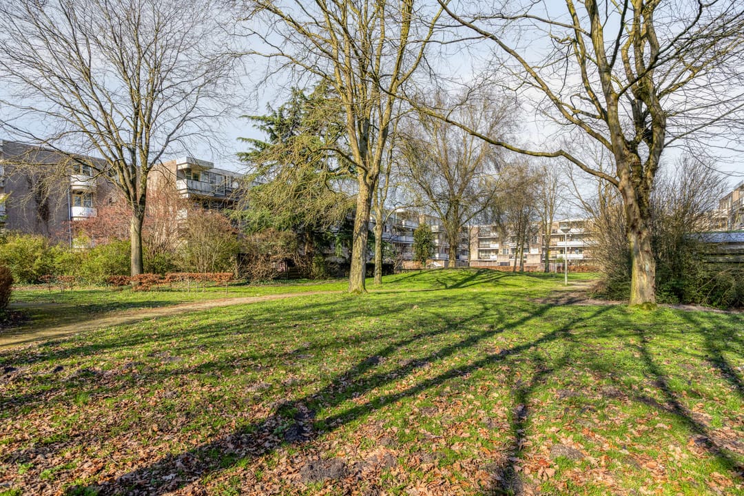 Photo 41 of Wamelplein 194