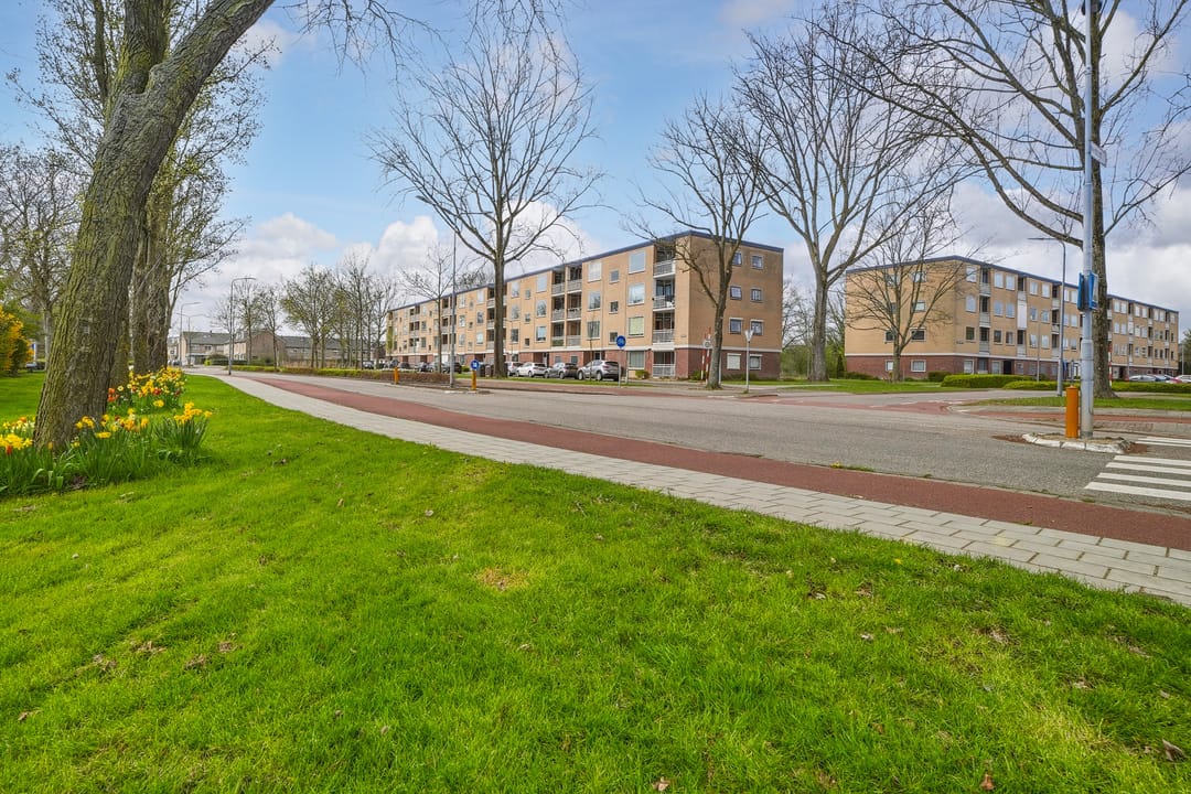 Move-in Ready 3-Room Apartment with Sunny Balconies and Green Views in Middelburg — 26