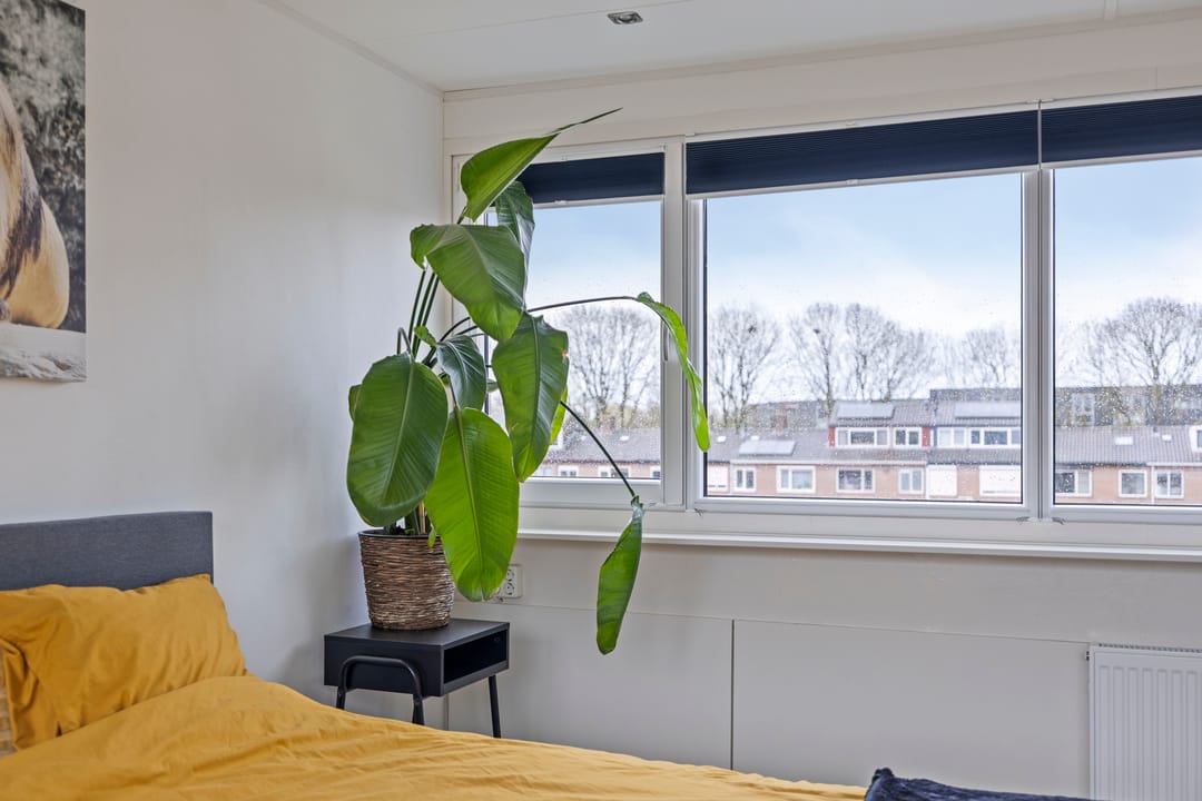 Foto 23 van Nicolaas Maesstraat 25