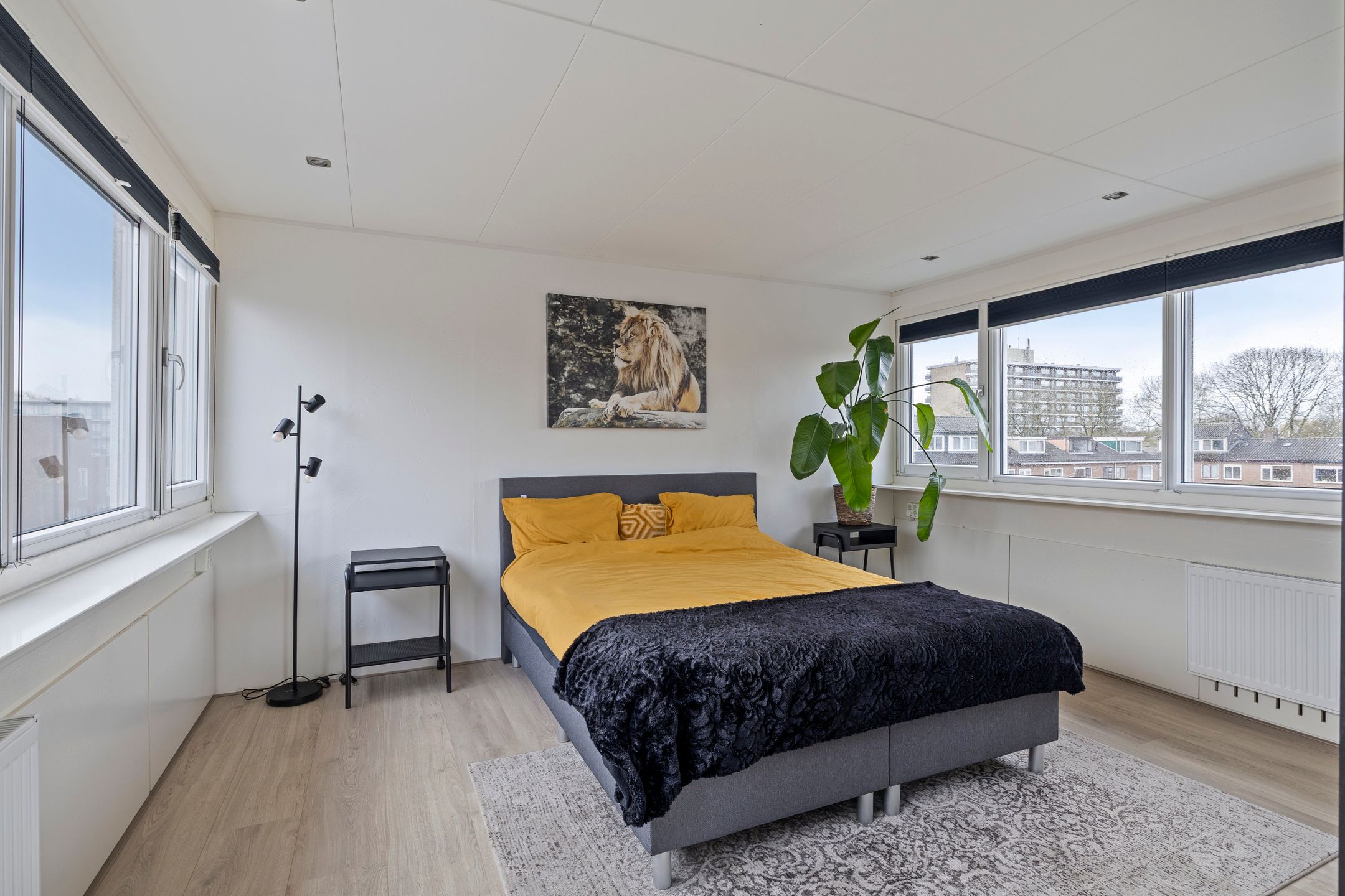 Foto 21 van Nicolaas Maesstraat 25