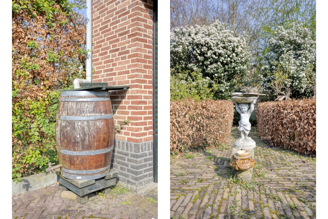 Photo 46 of Op de Diéke 3