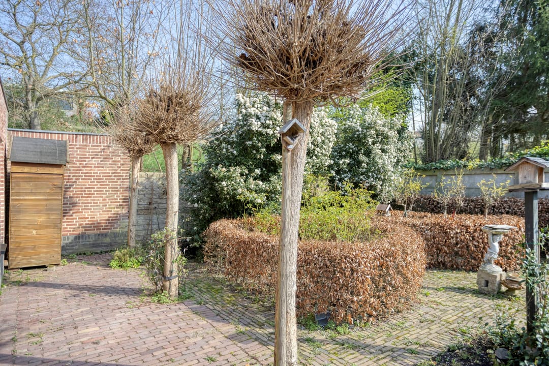 Photo 47 of Op de Diéke 3