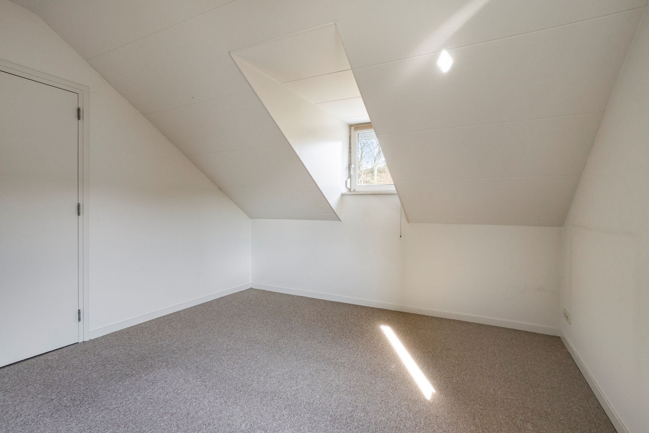 Photo 24 of Op de Diéke 3