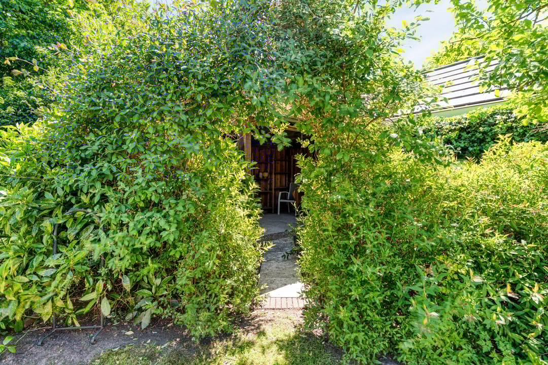 Foto 62 van Veldakkers 50