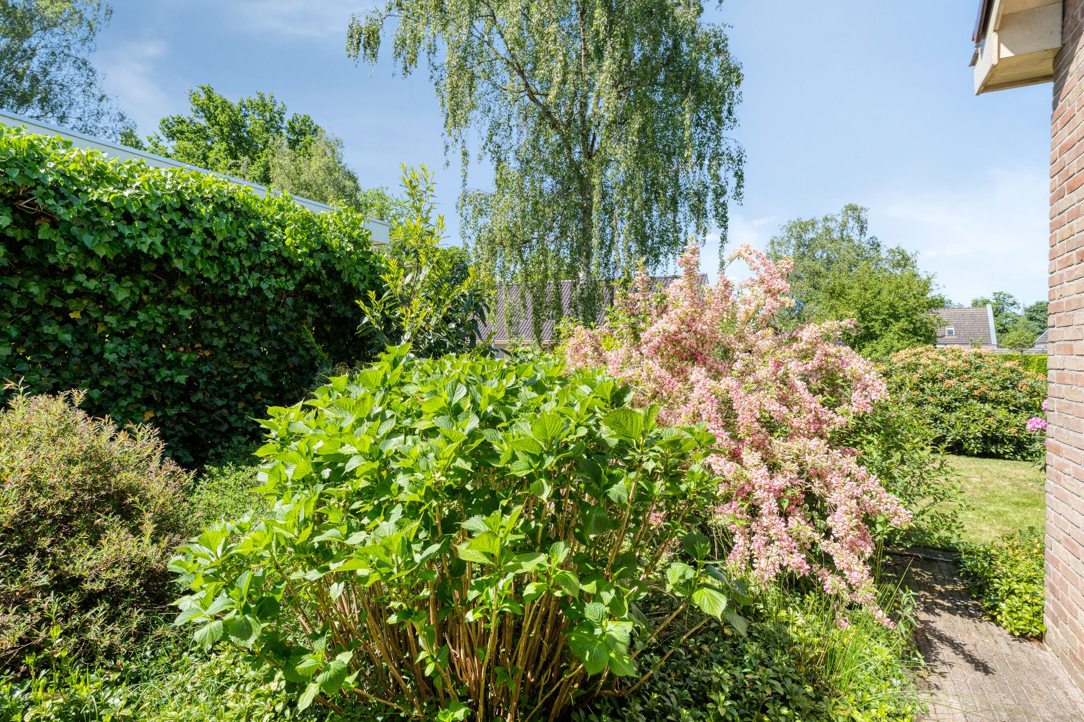 Foto 6 van Veldakkers 50