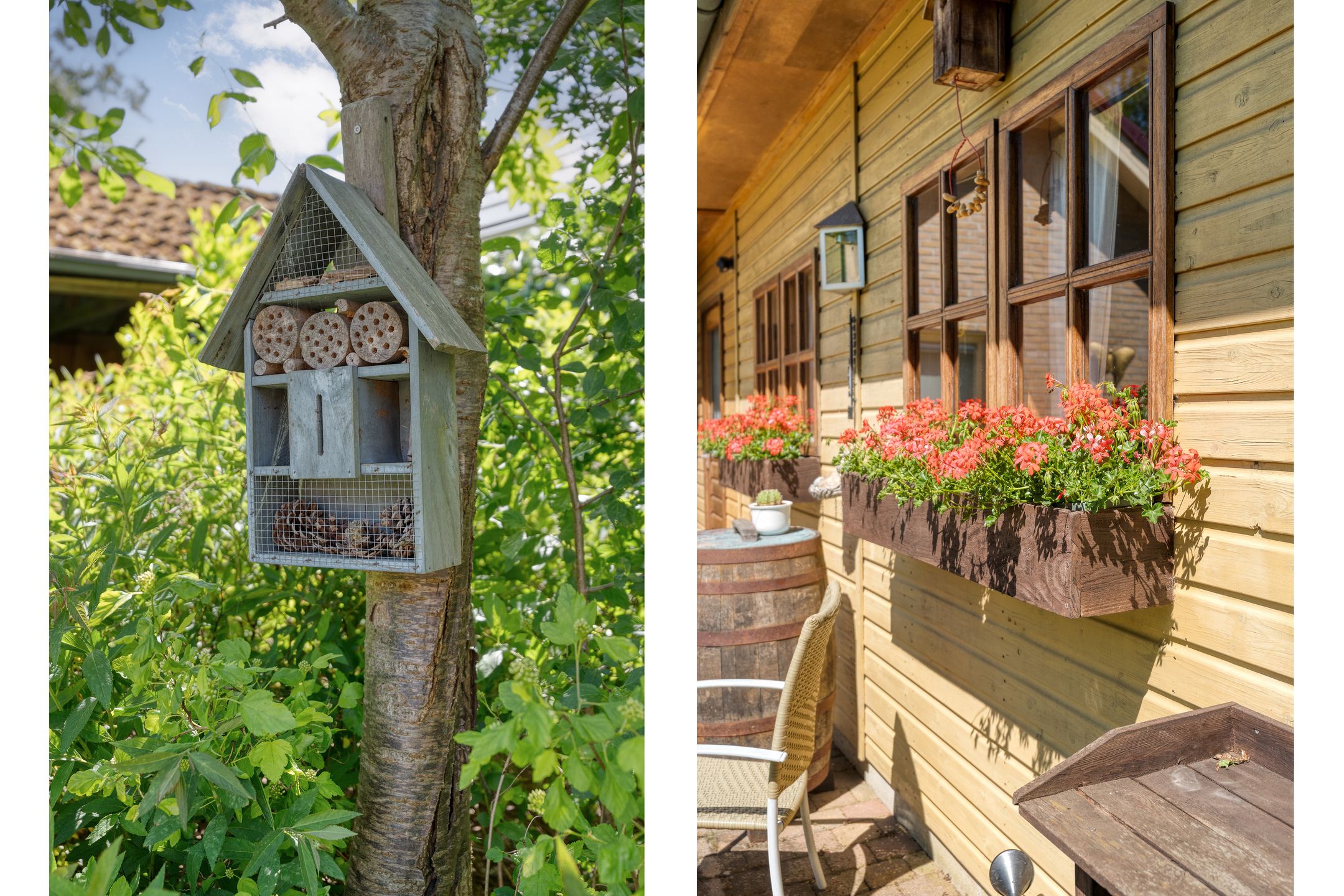 Foto 48 van Veldakkers 50