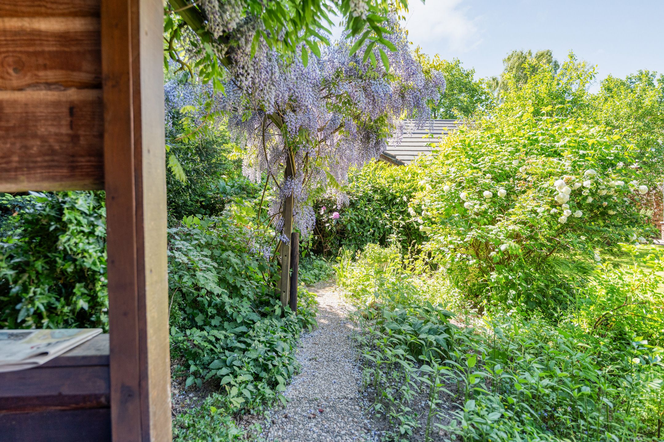 Foto 60 van Veldakkers 50