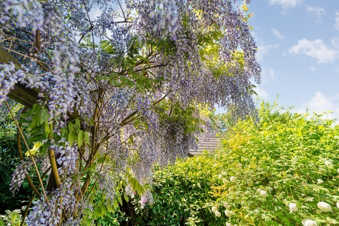 Foto 61 van Veldakkers 50