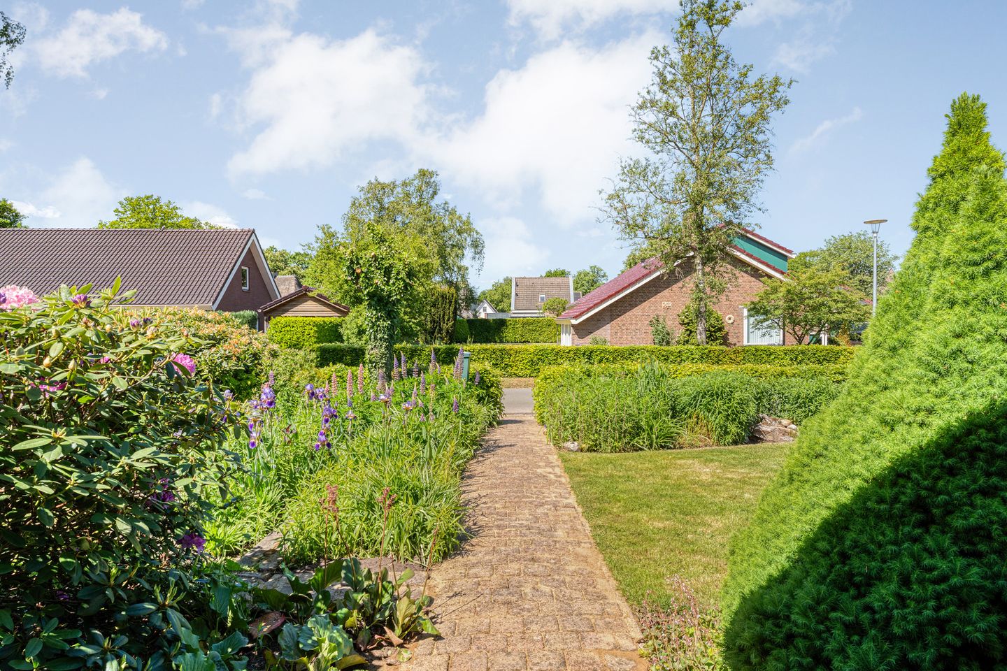 Foto 4 van Veldakkers 50