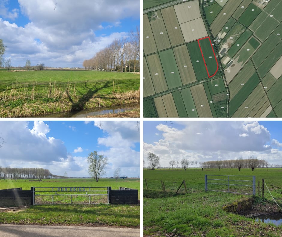 Bekijk foto 1 van De Steeg