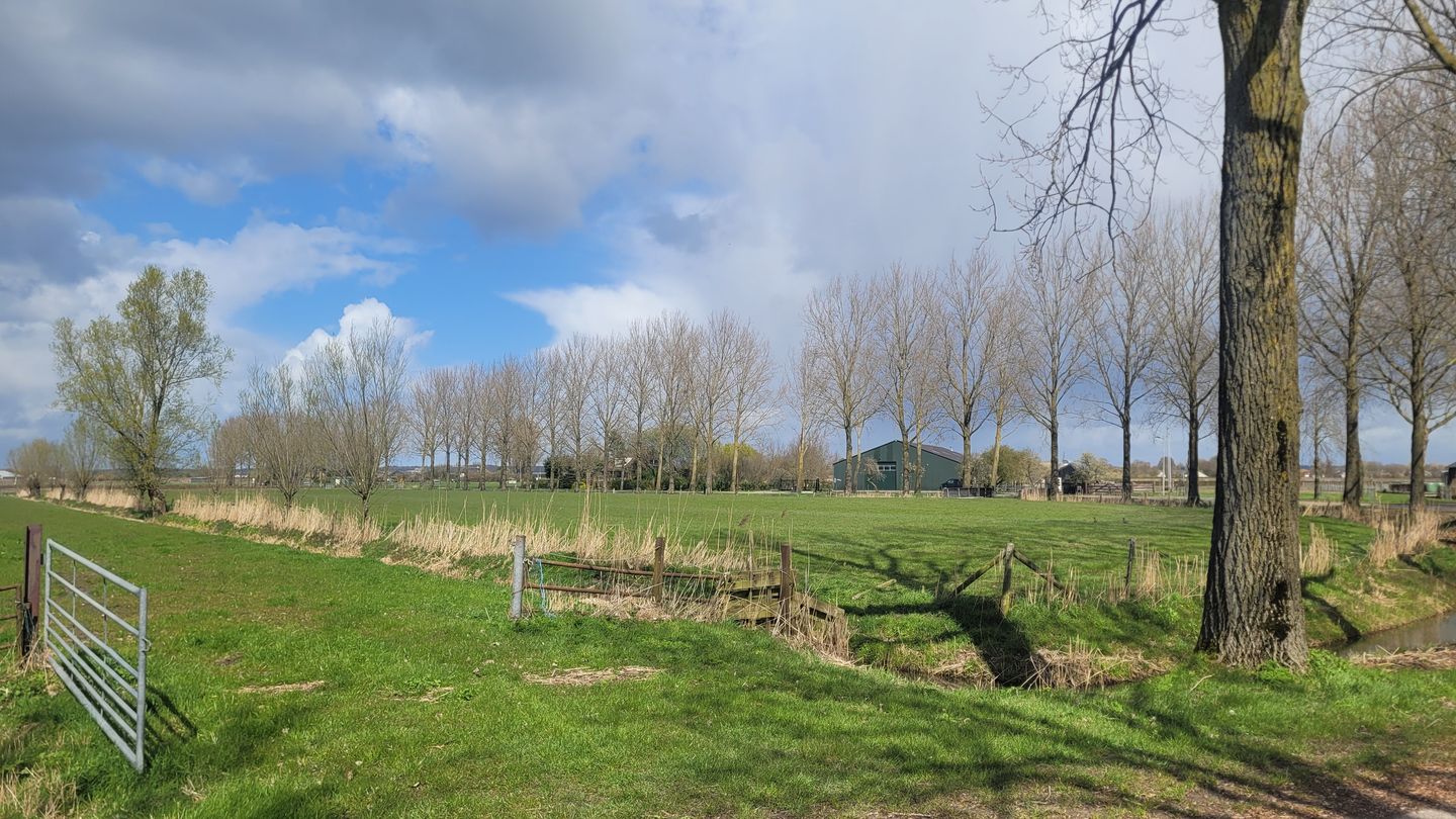 Bekijk foto 5 van De Steeg