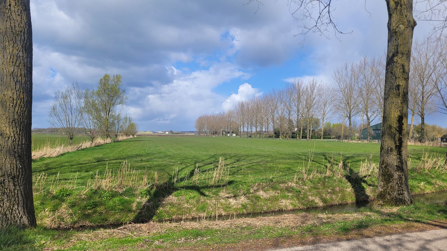 Bekijk foto 4 van De Steeg