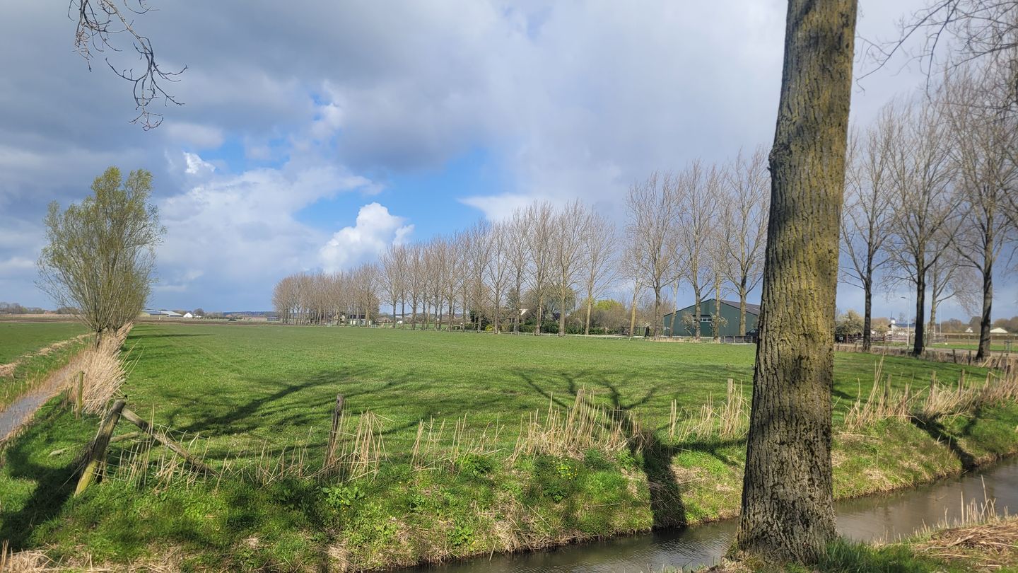 Bekijk foto 3 van De Steeg