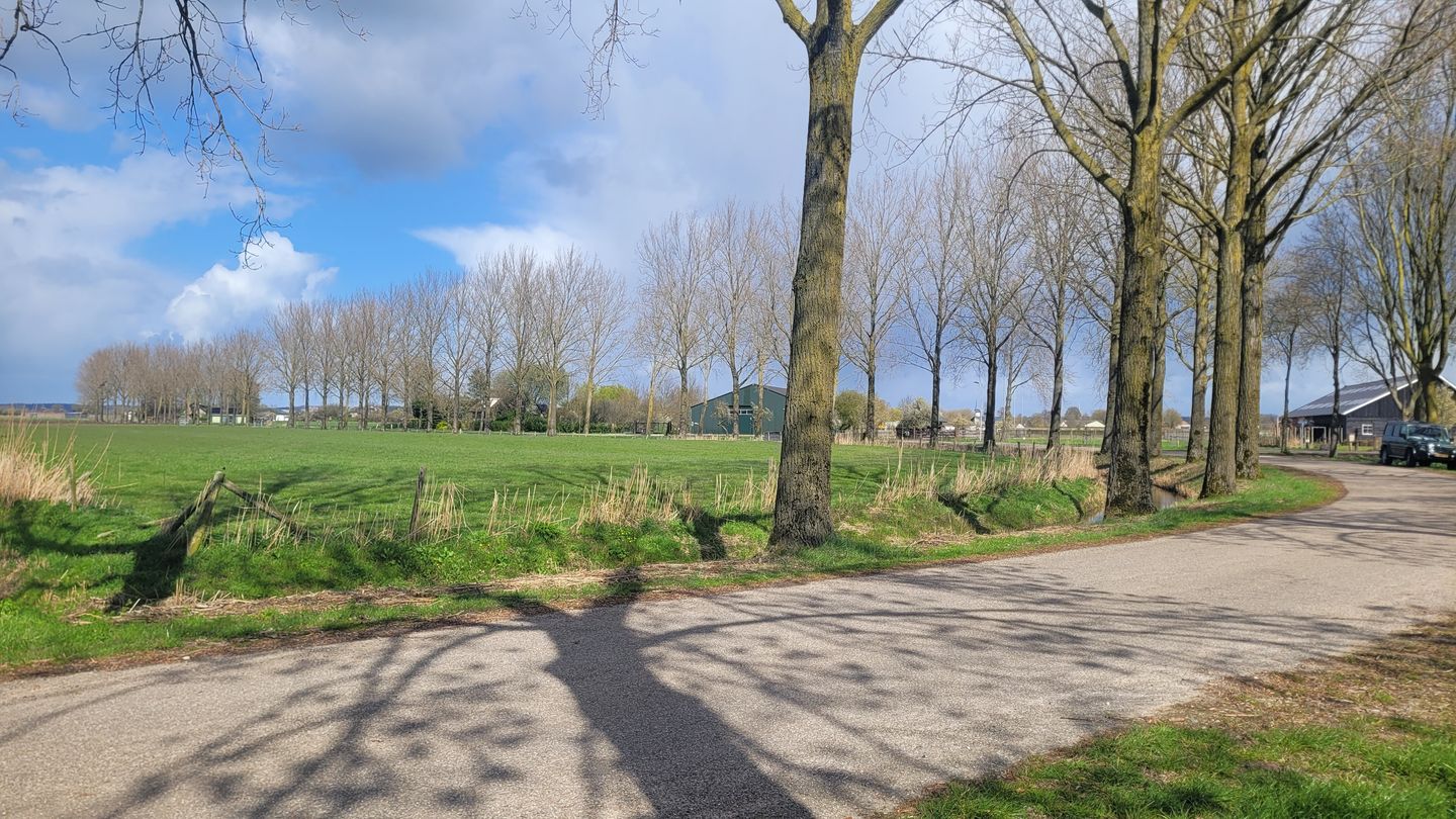 Bekijk foto 2 van De Steeg