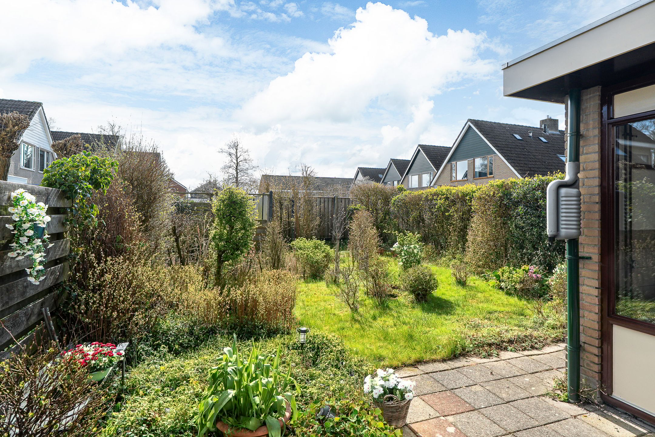 Foto 3 van Jan Jelles Hofleane 145