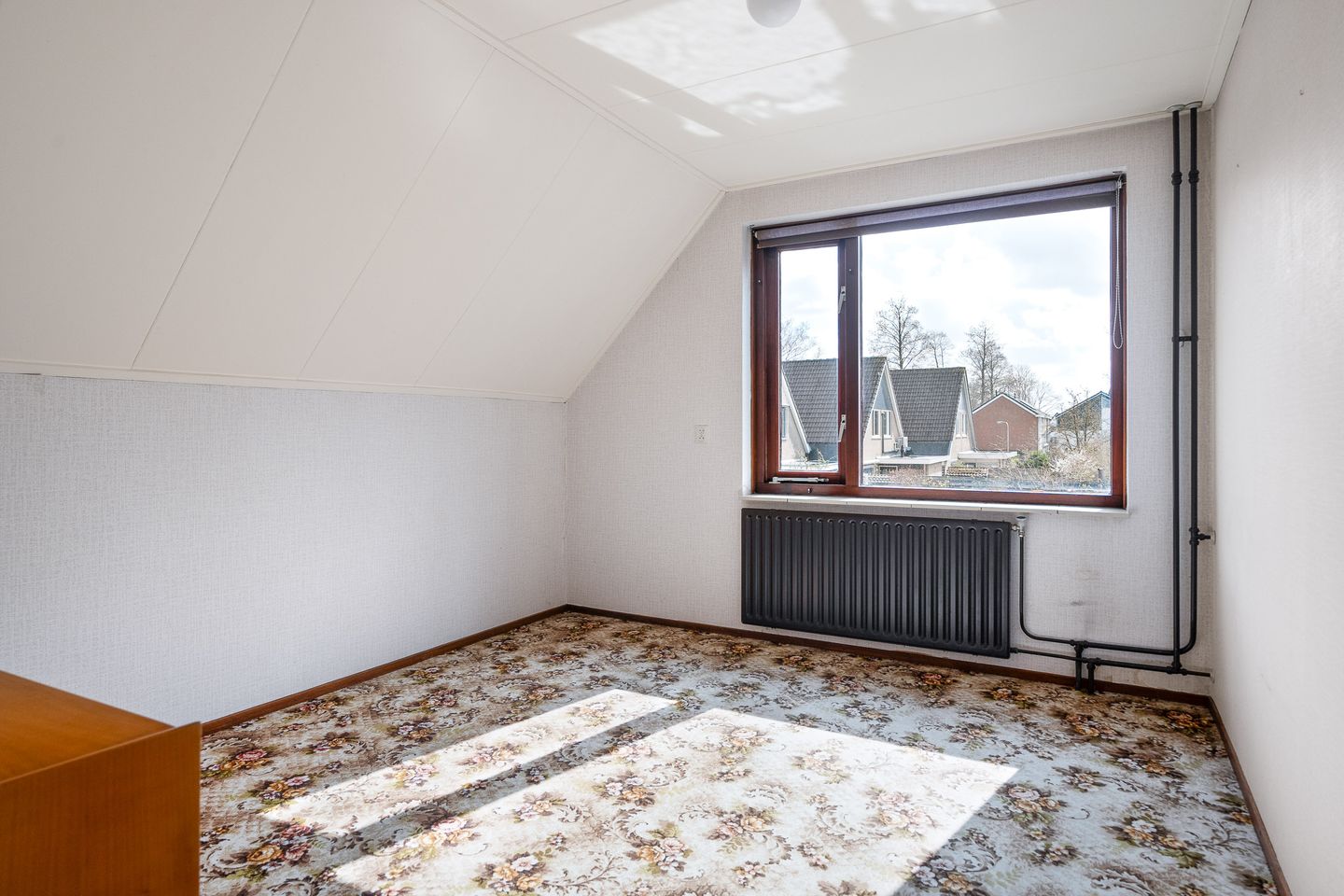 Foto 29 van Jan Jelles Hofleane 145