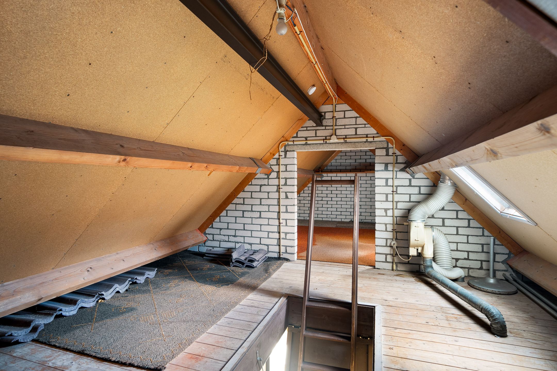 Foto 36 van Jan Jelles Hofleane 145