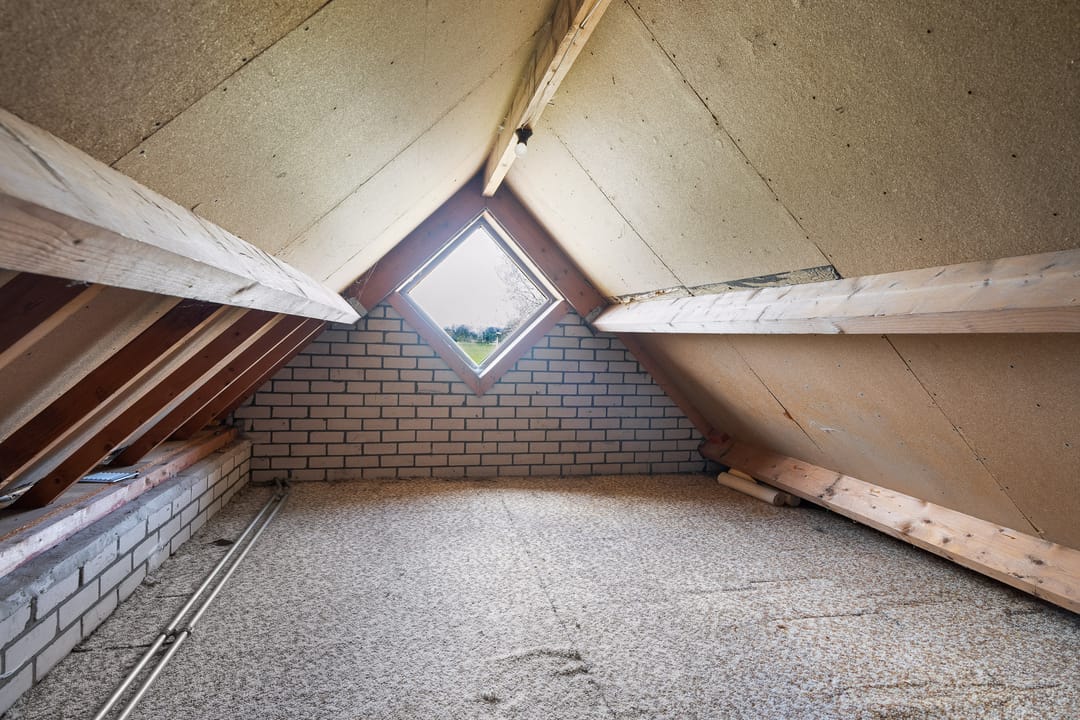 Foto 37 van Jan Jelles Hofleane 145