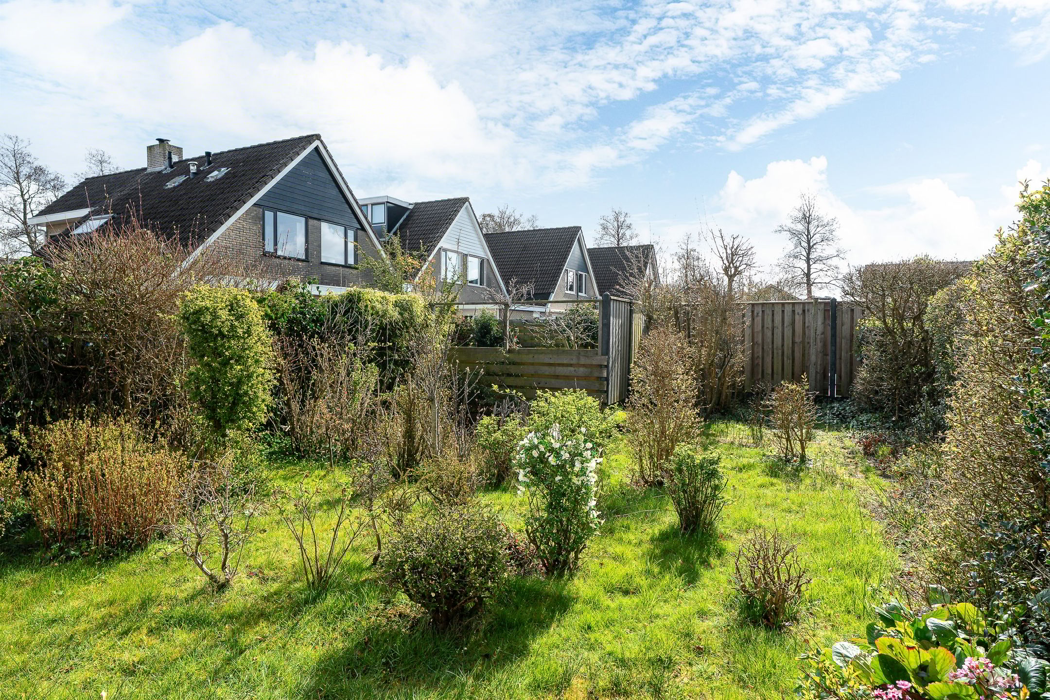 Foto 21 van Jan Jelles Hofleane 145