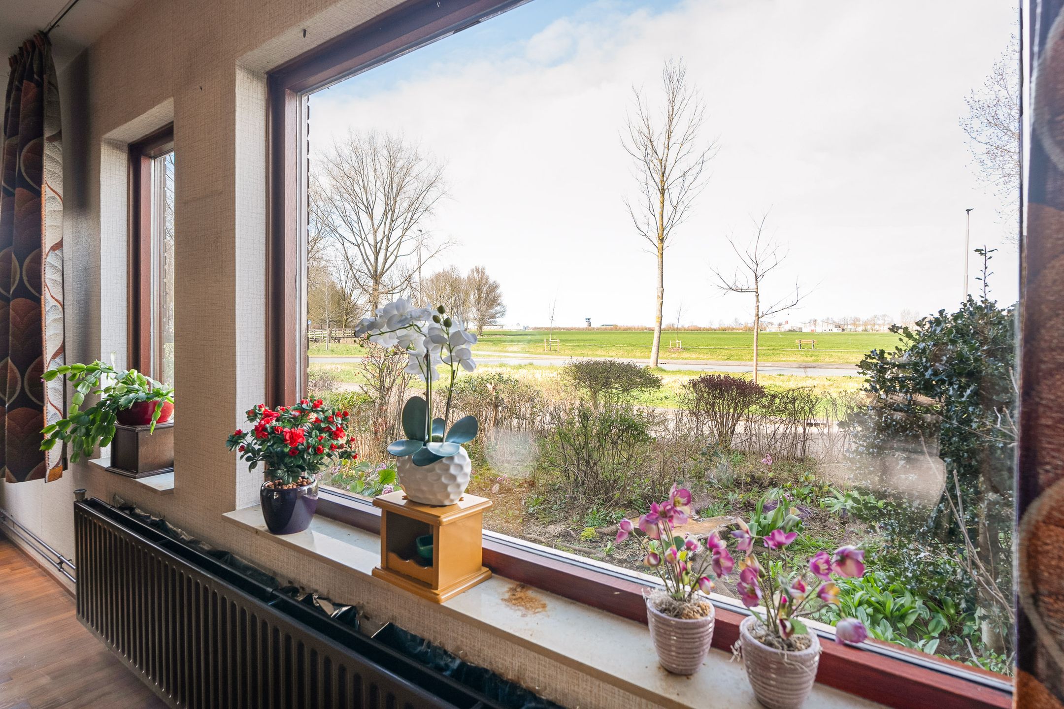 Foto 12 van Jan Jelles Hofleane 145