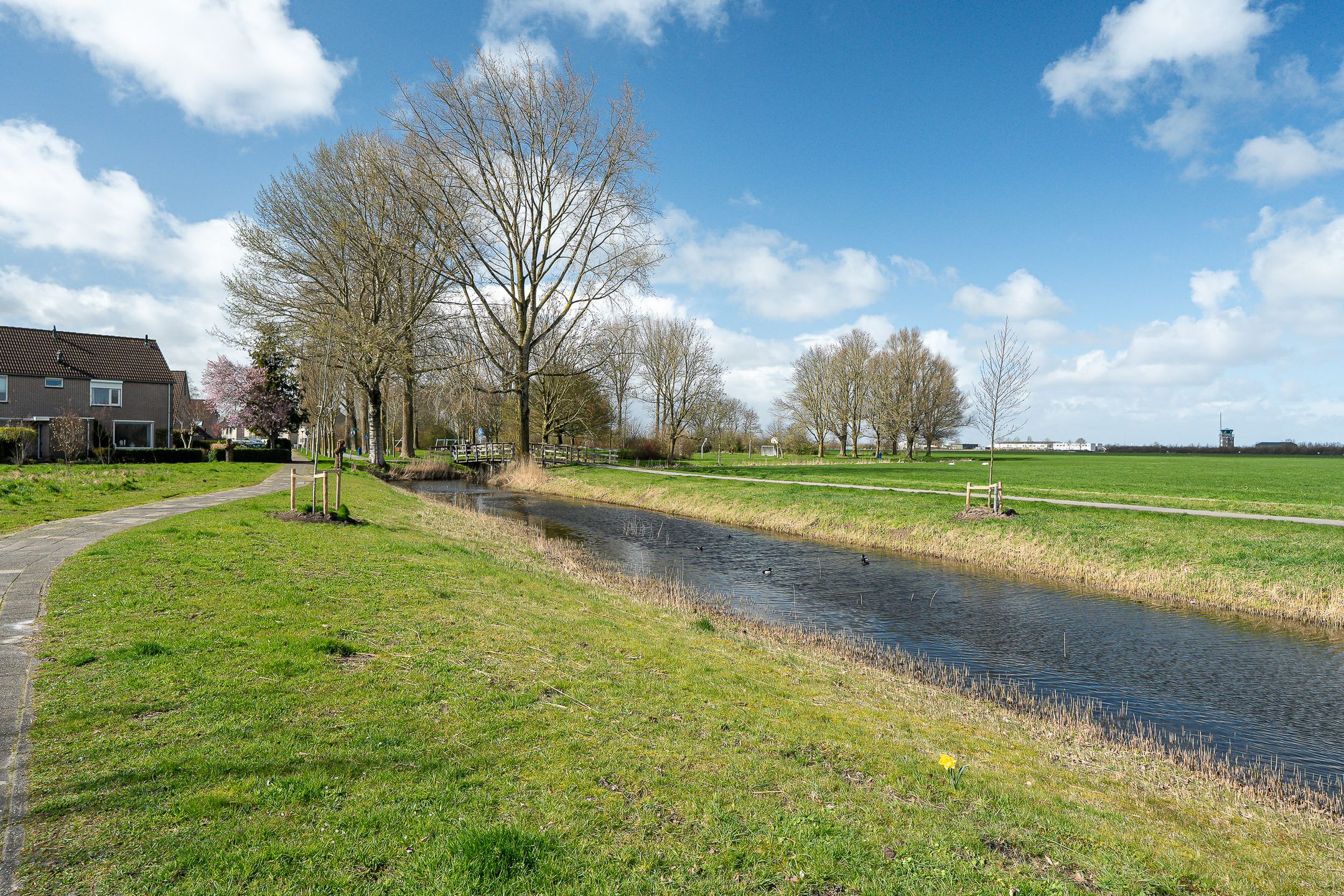 Foto 45 van Jan Jelles Hofleane 145