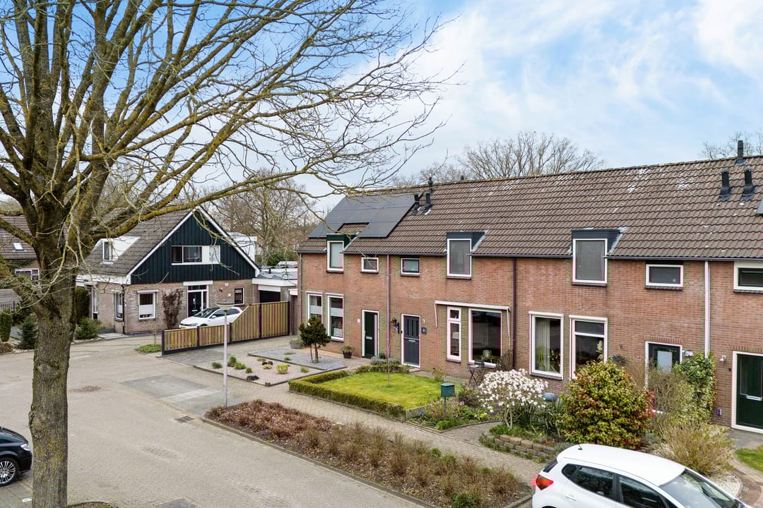 Foto 52 van Russchenreed 15