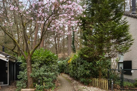 Elspeterweg 34-0023 secondary image