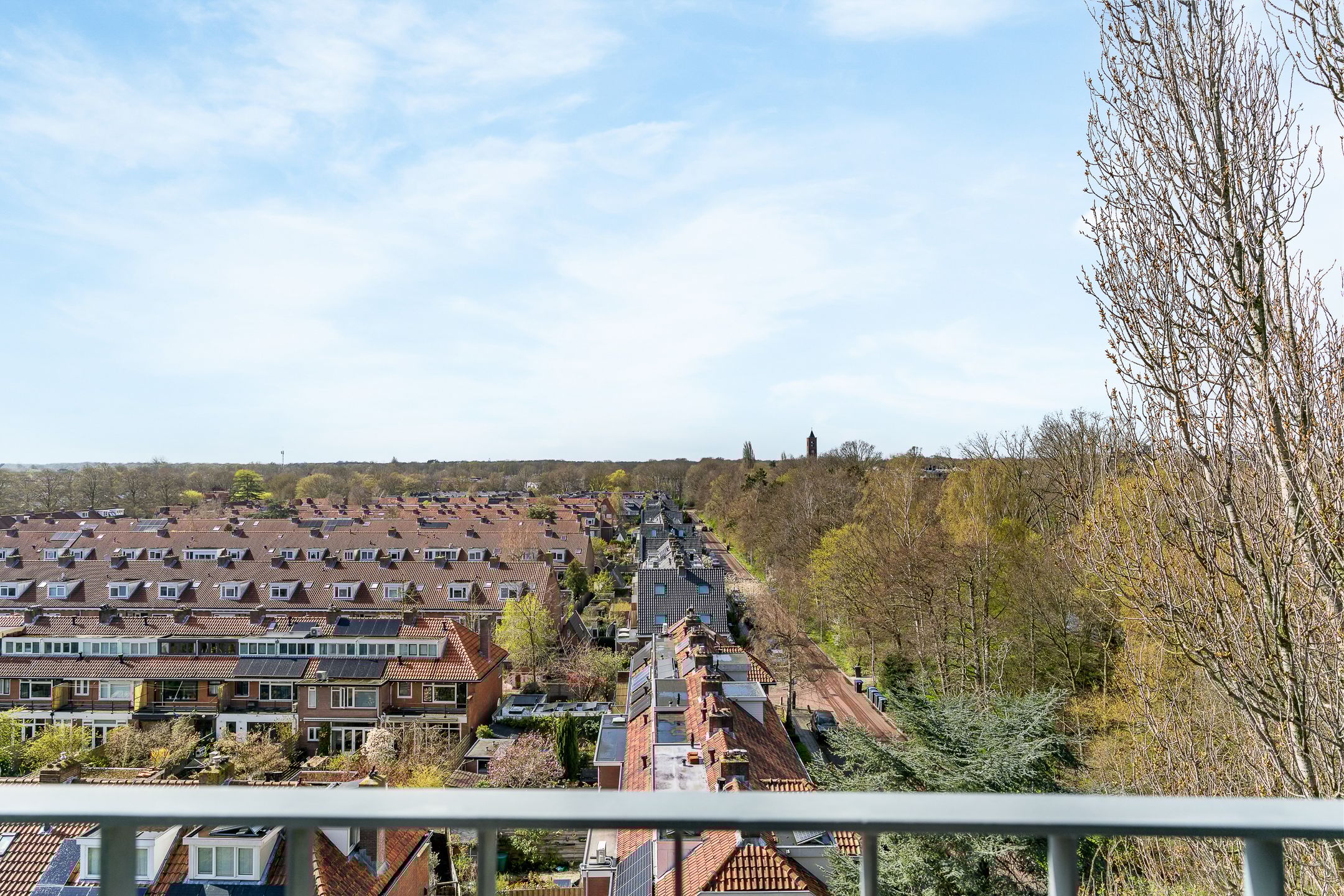 Foto 3 van Bos en Vaartlaan 93