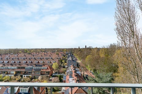 Bos en Vaartlaan 93 tertiary image