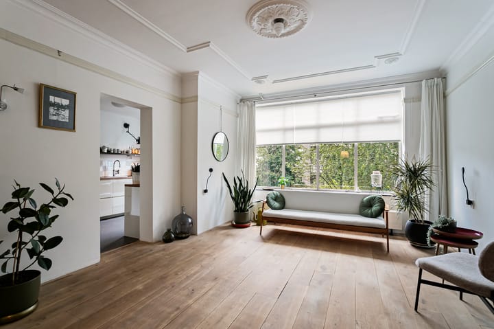 Foto 4 van Pieter de Hoochstraat 3-2