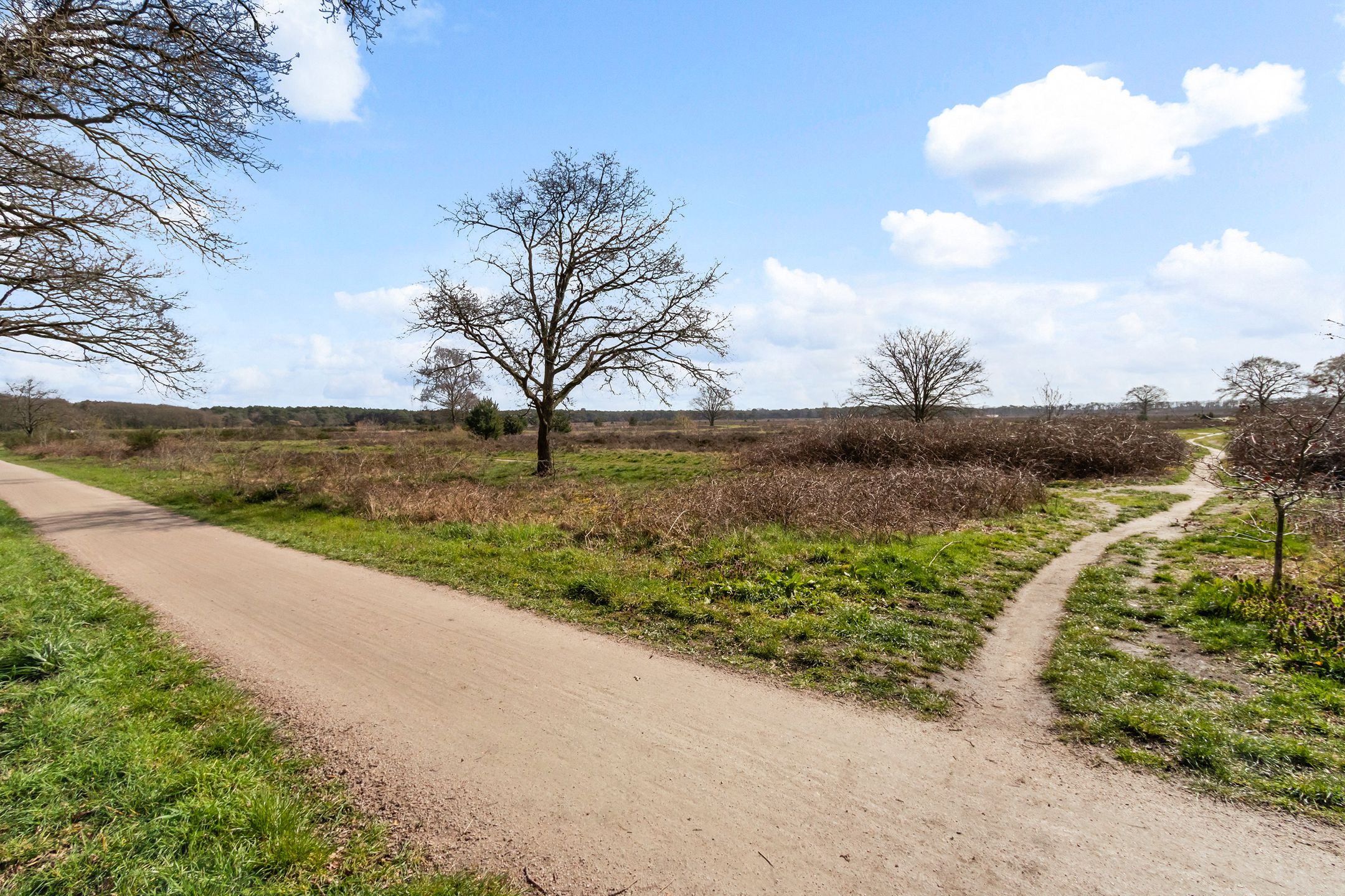 Photo 30 of Randweg 143