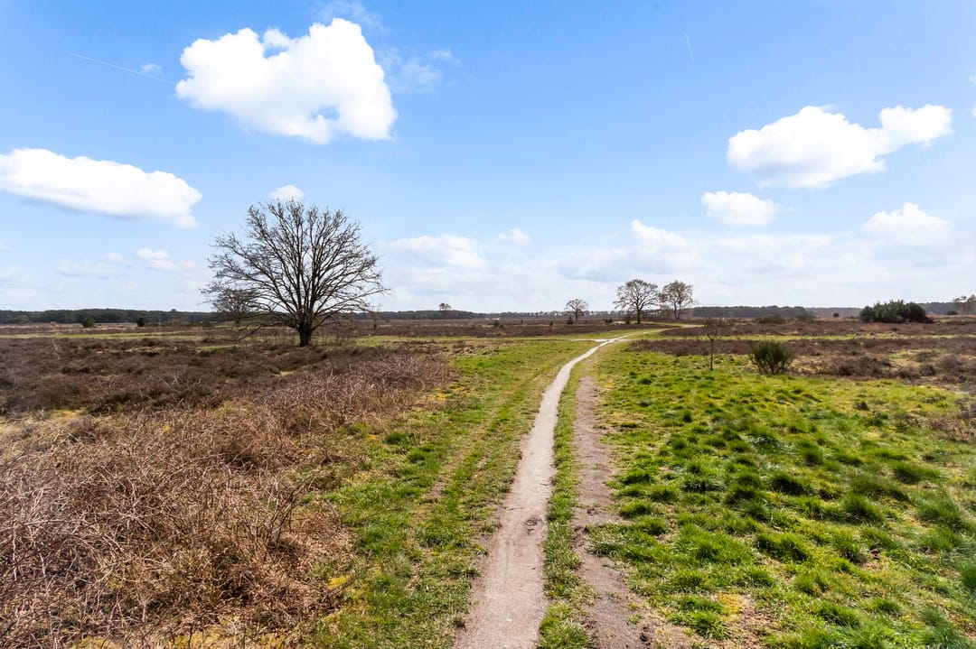 Photo 32 of Randweg 143