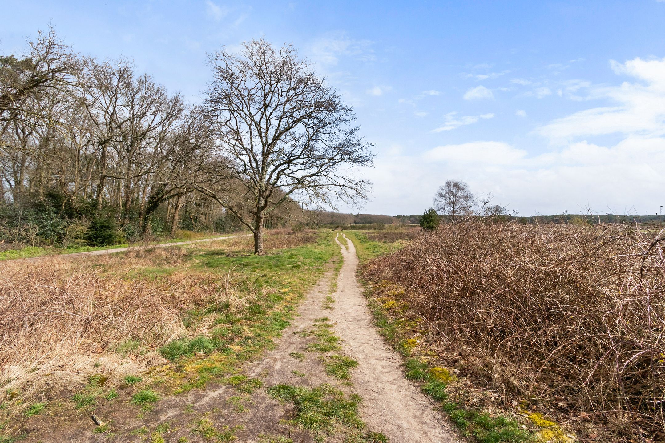 Photo 33 of Randweg 143