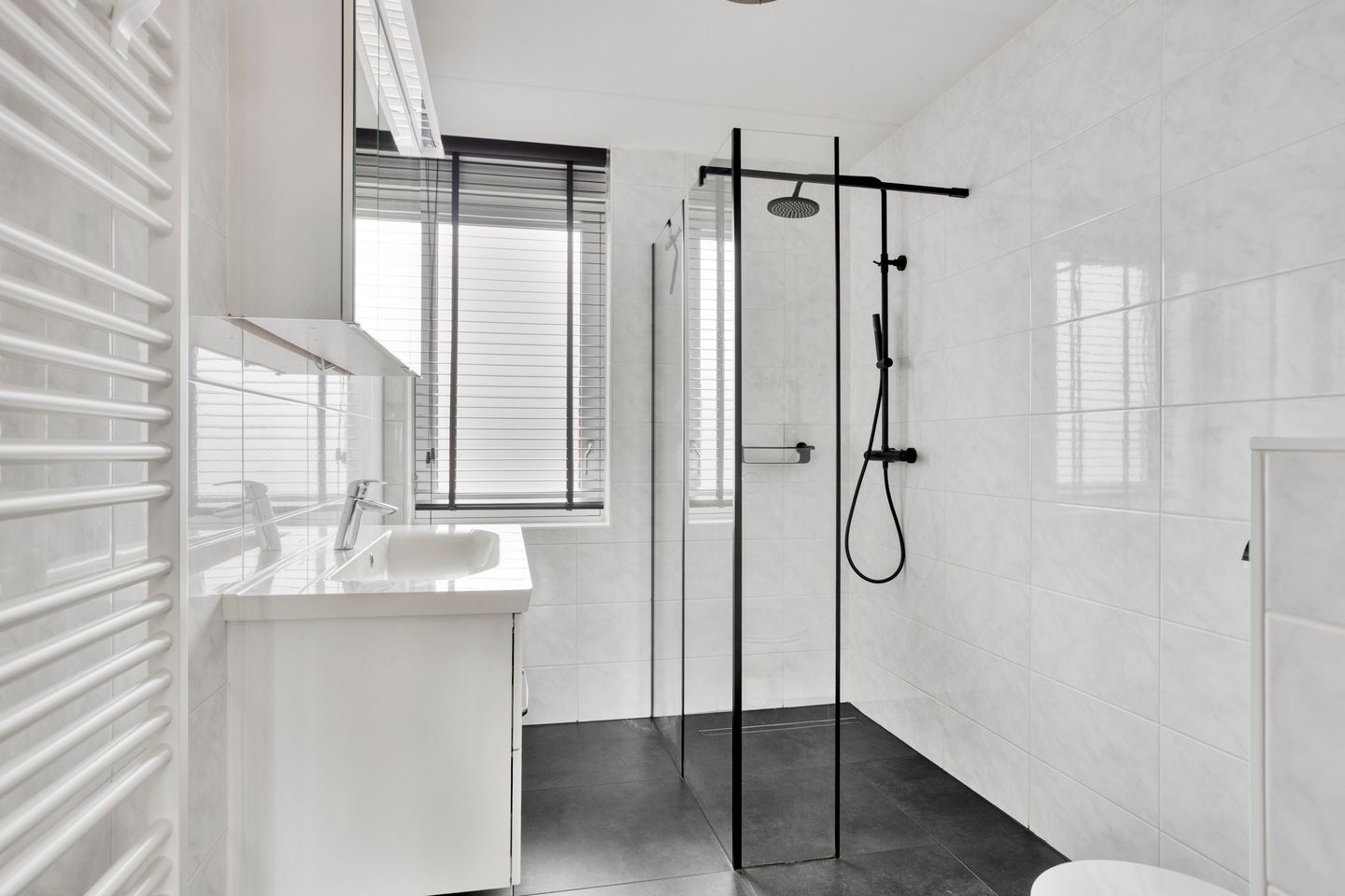 Foto 5 van Zambezilaan 236