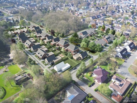 Ridderspoor thumbnail