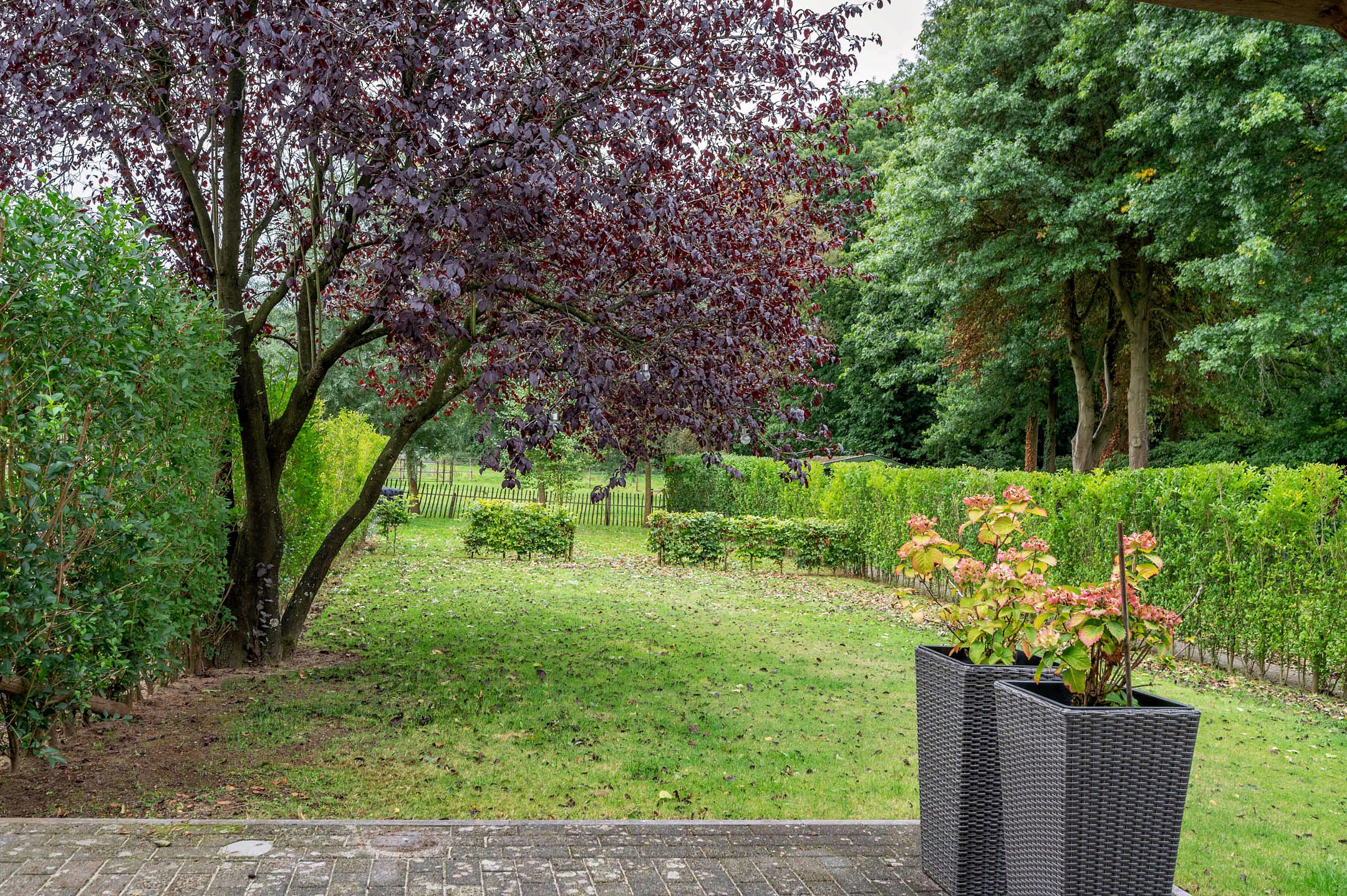 Photo 93 of Elmpterbaan 10-A