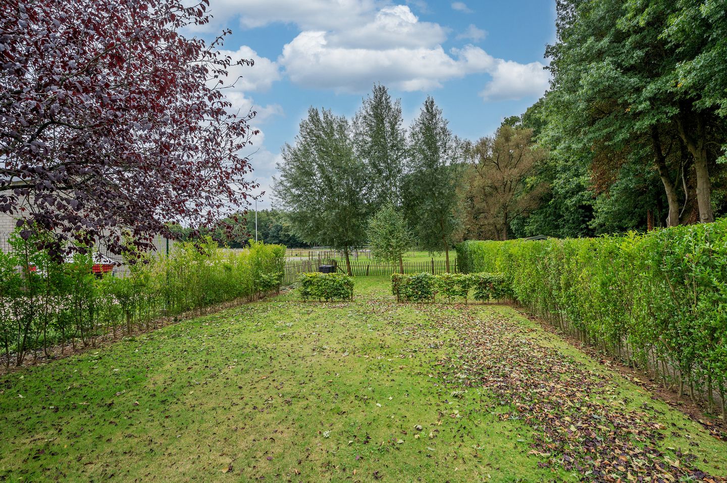 Photo 94 of Elmpterbaan 10-A