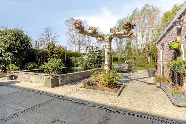 Foto 5 van Veldbloemstraat 10